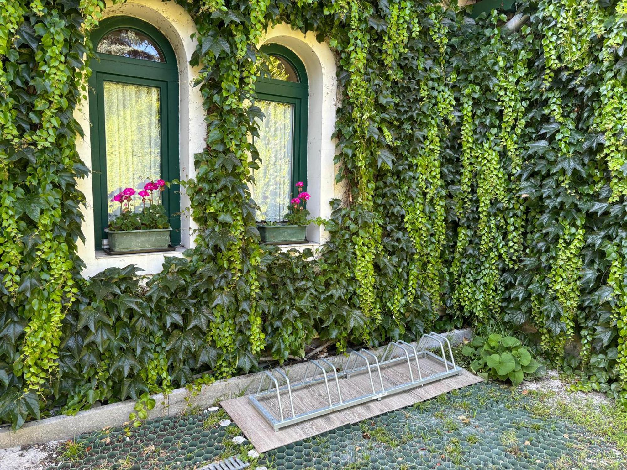 Veszprém Szalay Villa المظهر الخارجي الصورة
